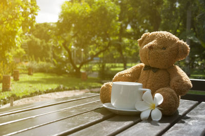 Brown teddy bear by coffee cup and frangipani on table at park