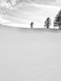 Scenic view of field against sky during winter