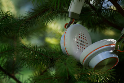 Close-up of headphones on christmas tree