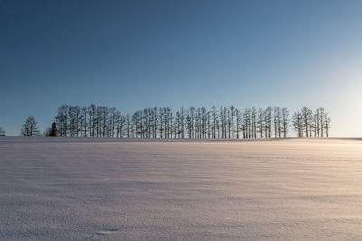 Trees on field against clear sky during winter