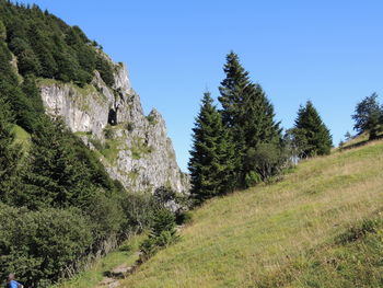 Scenic view of landscape against clear blue sky