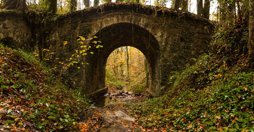 Ld bridge with stream in late fall forest