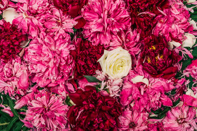 High angle view of pink rose bouquet