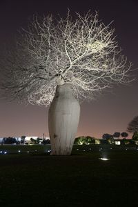 Close-up of illuminated tree against sky at night