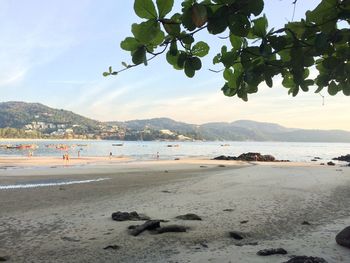 Scenic view of beach against sky