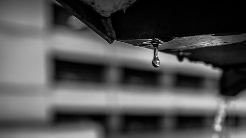 Close-up of water drops on rusty metal