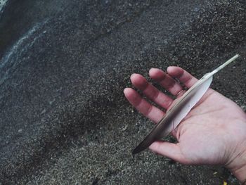 Close-up of cropped hand