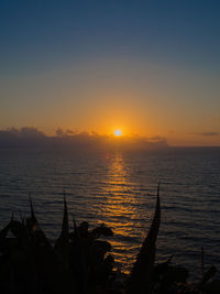 Scenic view of sea at sunset