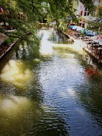 Canal amidst trees