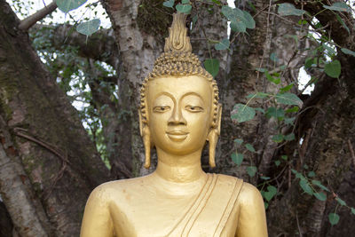 Statue of buddha against trees