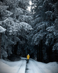 Rear view of man skiing on snow covered landscape