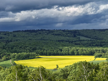 Scenic view of landscape against sky