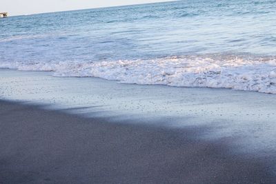 Close-up of sea shore at beach