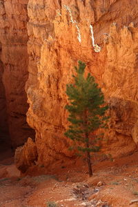 View of rock formations