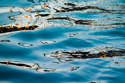 High angle view of birds in lake