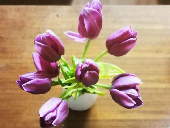 Close-up of purple tulip flowers on table