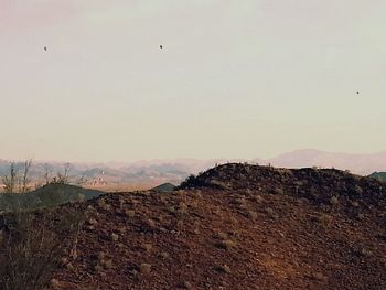 Bird flying over mountain against sky