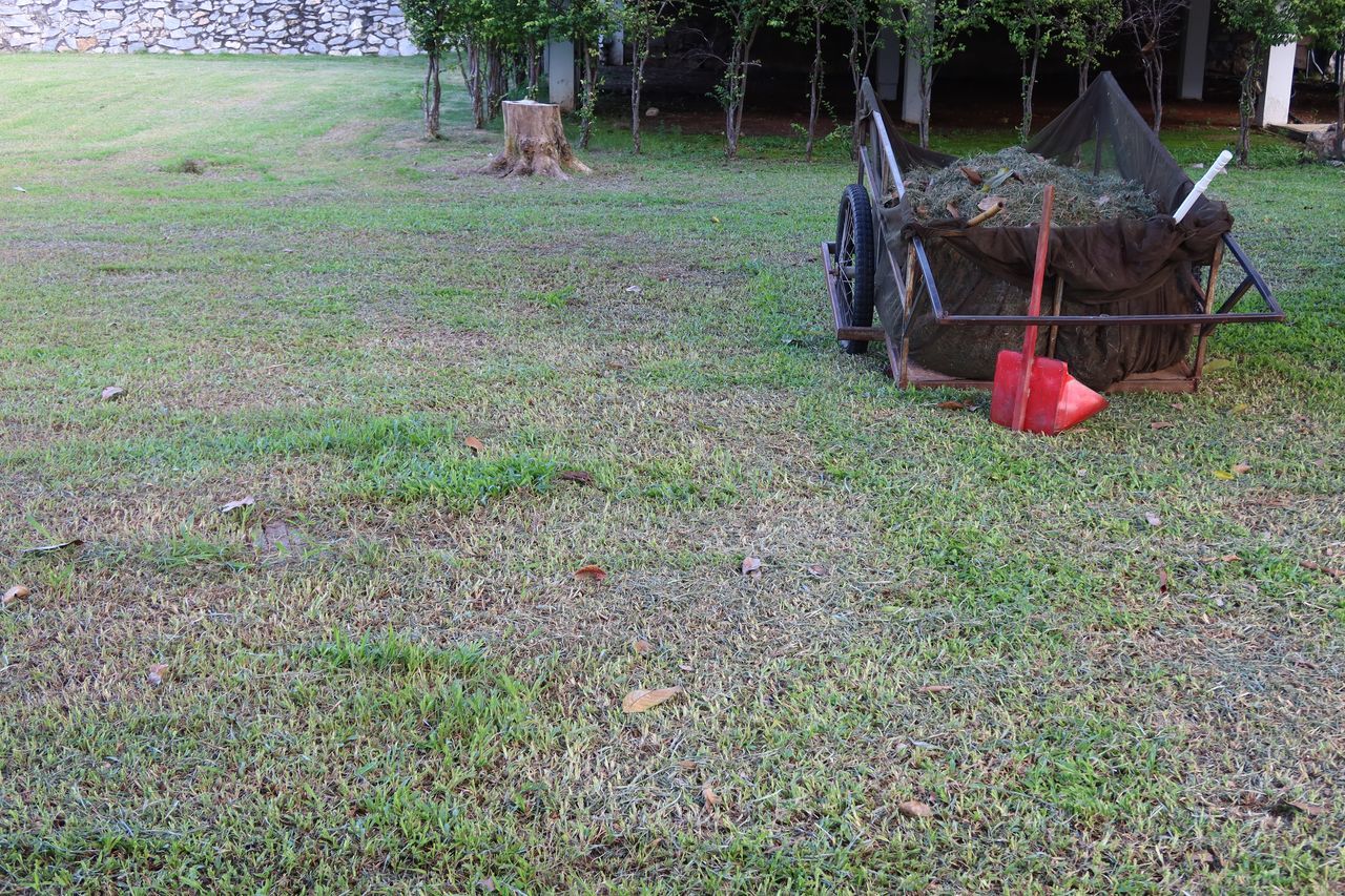 ABANDONED CART ON FIELD