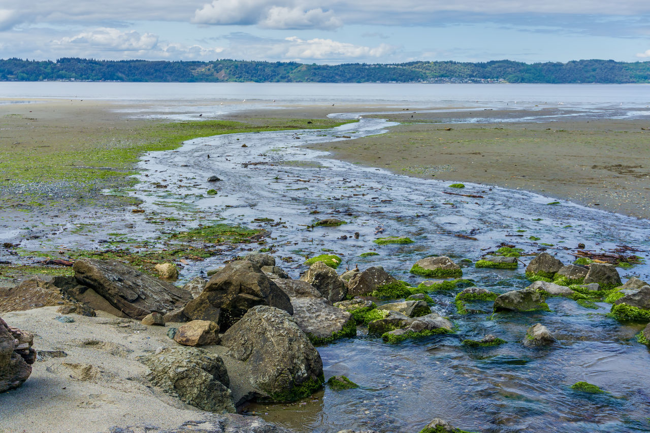 SCENIC VIEW OF SEA SHORE