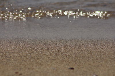Close-up of sand on beach