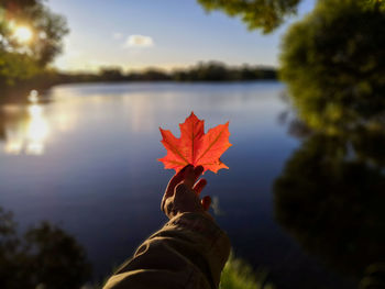 Person holding maple leaf during autumn