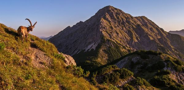 Panoramic view of mountain range against clear sky