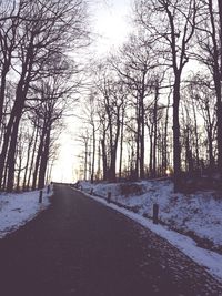 Road amidst bare trees during winter