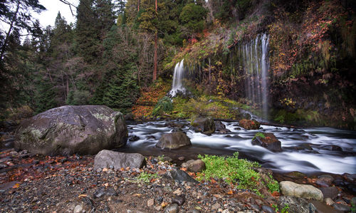 Stream flowing through rocks in forest