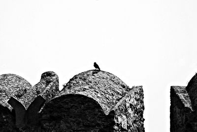 Low angle view of bird perching on built structure against clear sky