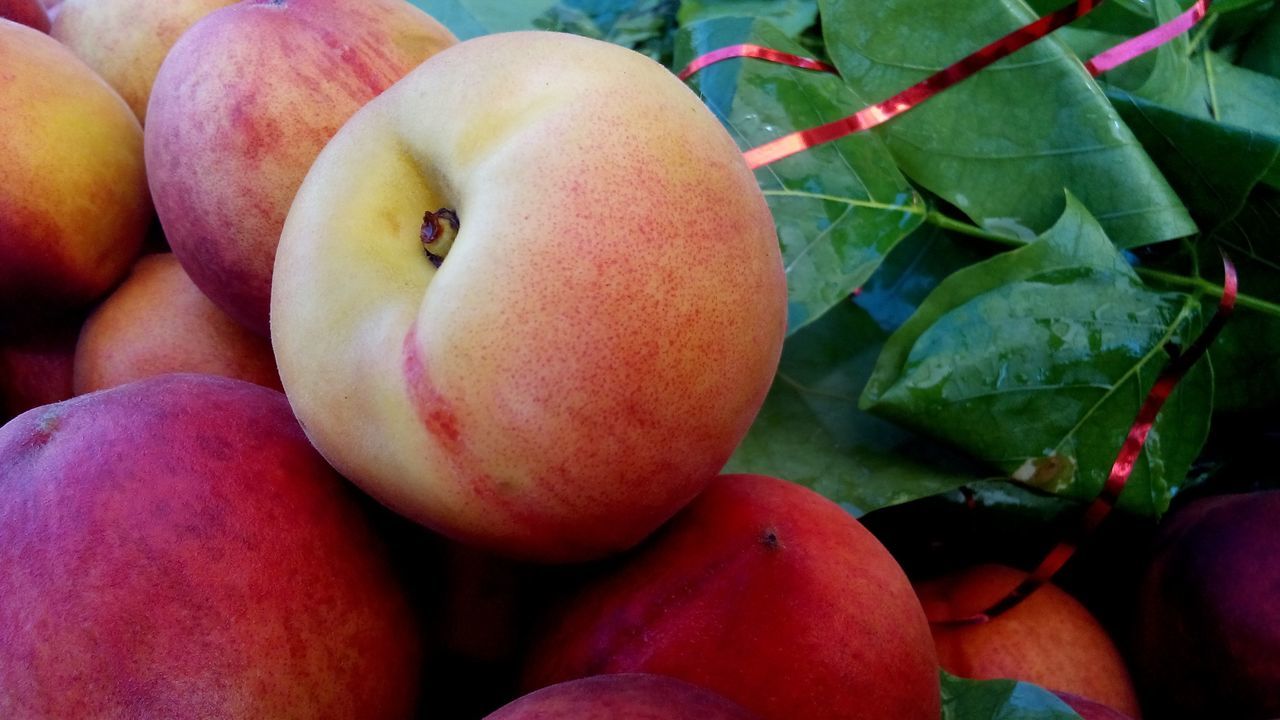 freshness, full frame, close-up, food, food and drink, healthy eating, backgrounds, abundance, fruit, for sale, multi colored, large group of objects, pink color, growth, no people, variation, vegetable, nature, red, outdoors