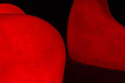 Close-up of red rose
