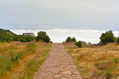 Footpath amidst grass against sky