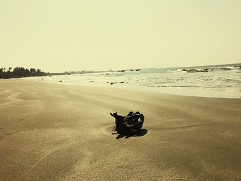 Man sitting on beach against clear sky