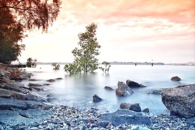 Scenic view of sea against sky during sunset