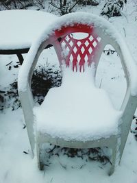 Close-up of snow covered tree