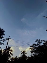 Low angle view of silhouette trees against sky