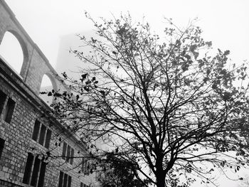 Low angle view of bare trees