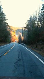 Empty road along trees