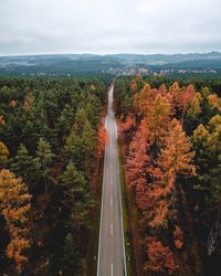 Road amidst trees in forest against sky during autumn
