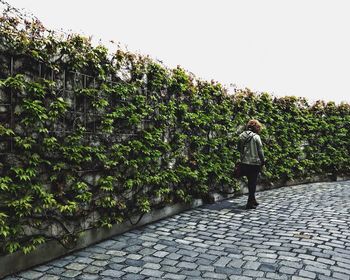Rear view of woman standing against plants