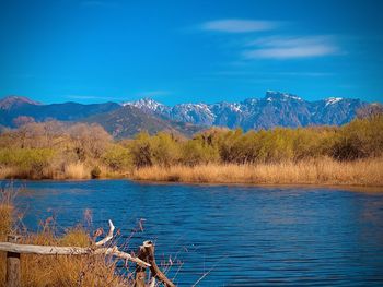 Scenic view of lake against blue sky