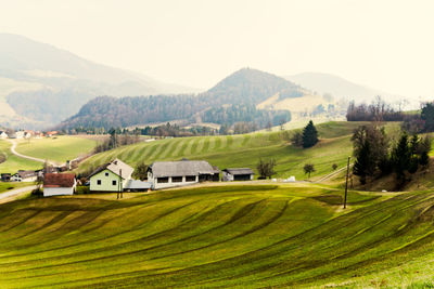 Scenic view of agricultural field against clear sky