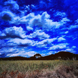 Scenic view of field against blue sky