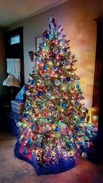 Multi colored flowers