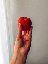 Close-up of hand holding apple