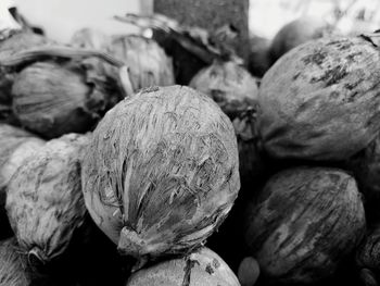 Close-up of vegetables