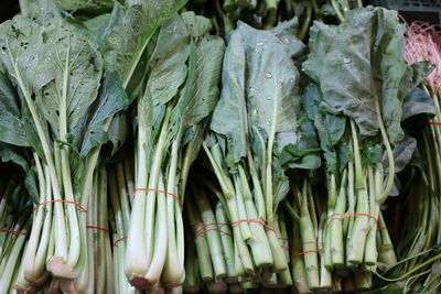 Close-up of vegetables for sale at market stall