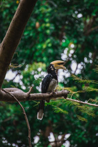 Low angle view of bird perching on branch