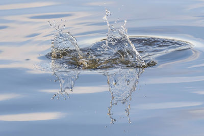 Close-up of splashing water in lake