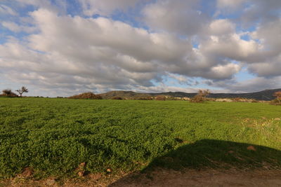 landscape